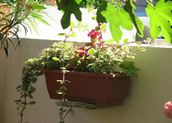 Appartement In Trogir