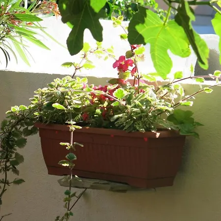 Apartamento In Trogir